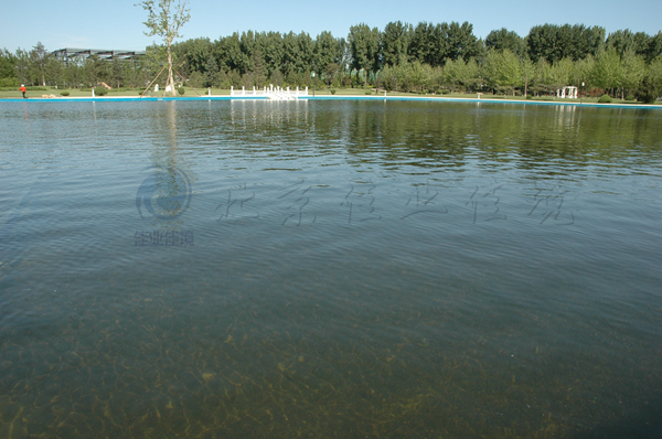 HDP技术实施后的游泳池