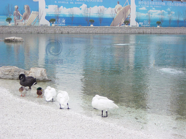 顺驰领海人工湖