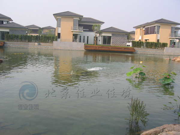 景观水处理 景观水治理