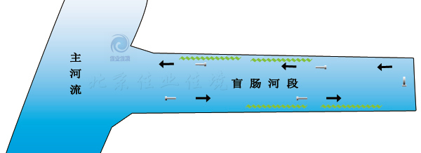 HDP河湖水域直接净化技术（针对非流动河流）