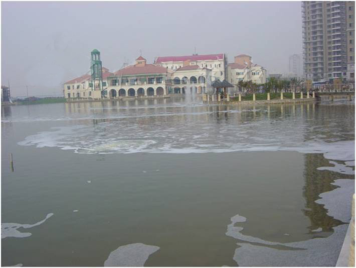 海逸长洲景观水治理前