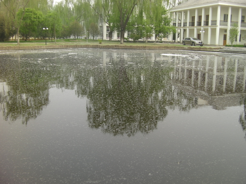 气浮过滤治理景观水
