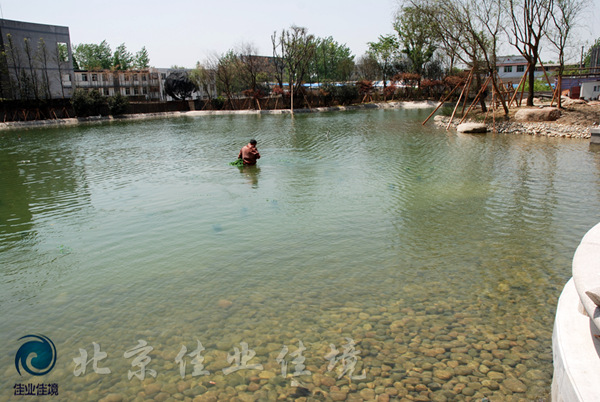 HDP景观水直接净化系统调试中