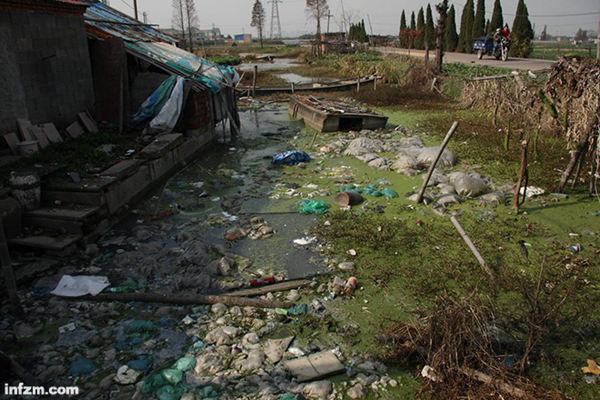 2012年12月5日中午，大量垃圾、污染物正漂浮在浙江绍兴市区东湖镇朱尉村发出阵阵臭气的河道上