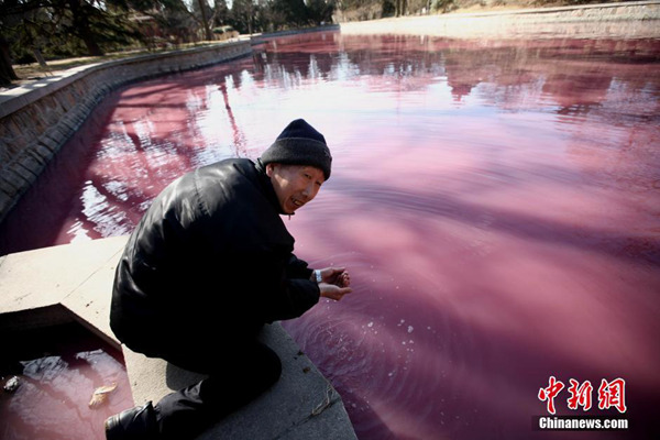 八大处人工湖湖水变红