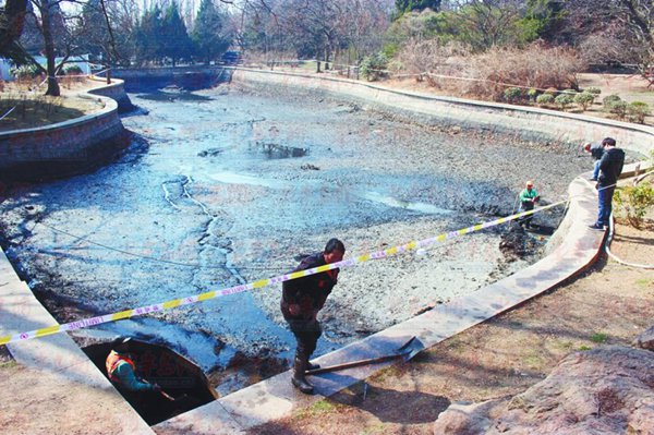 青岛八大关人工湖清淤现场