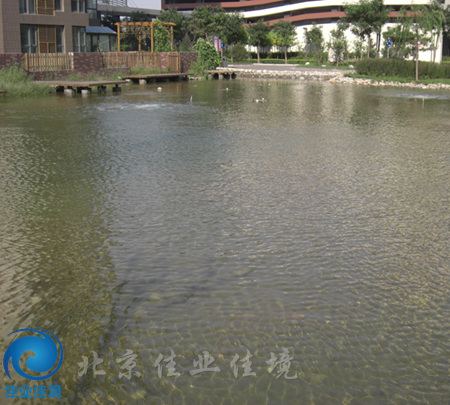 天津畅水园景观水清澈见底