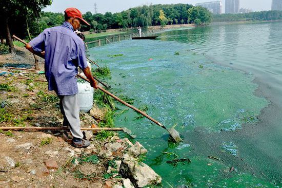 安庆西小湖补水启动以稀释污染水体