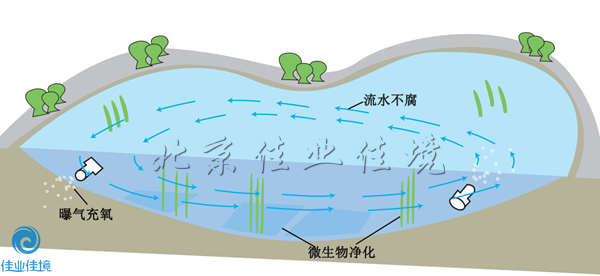 微生态活水(HDP)直接净化工艺