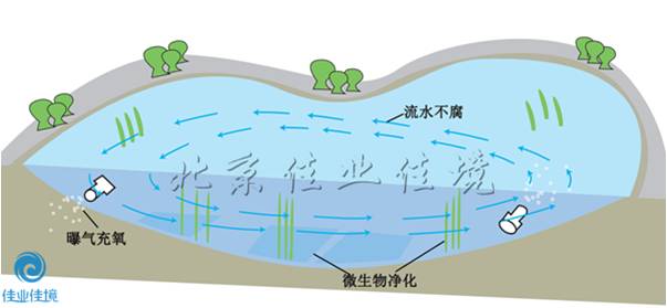 黑臭河道治理重点工艺