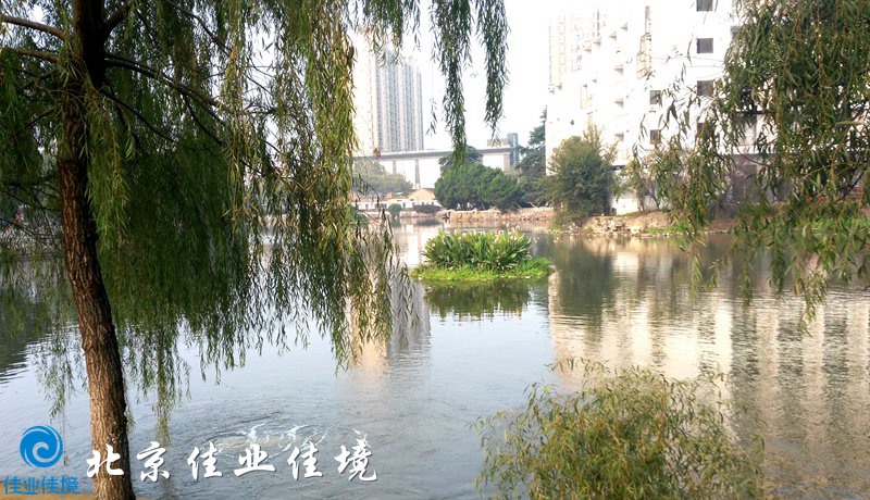 公园景观水治理后