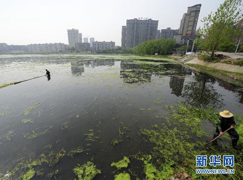 武汉湖泊污染严重