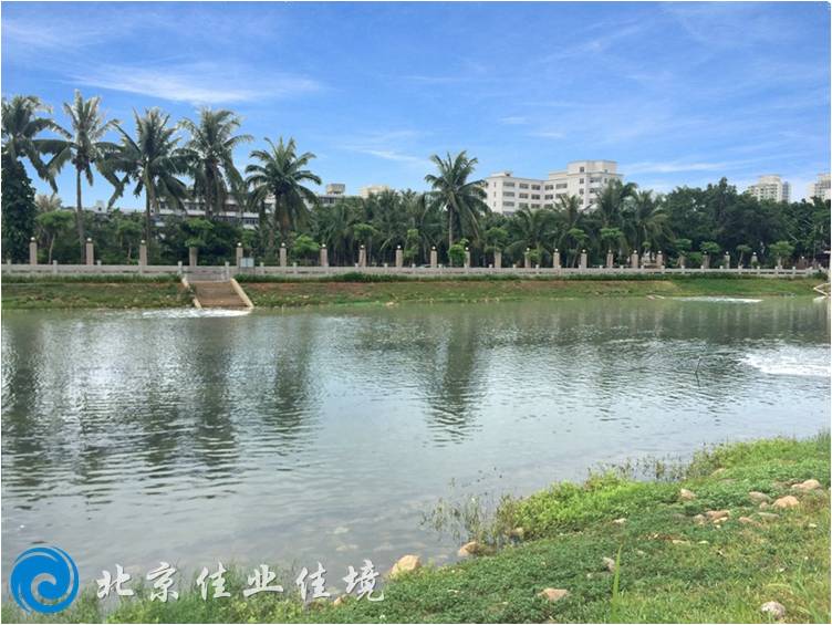 海口白沙河黑臭水体治理