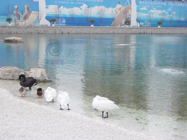 北京顺驰领海景观水处理