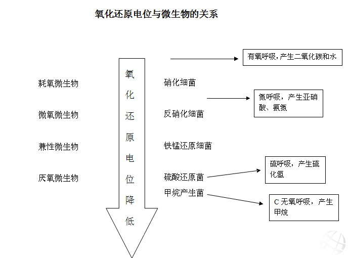 氧化还原电位