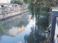 生物治理河道效果佳，微生物担当“清道夫”