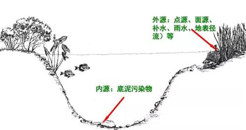 黑臭河道生态治理——水体生态系统重构