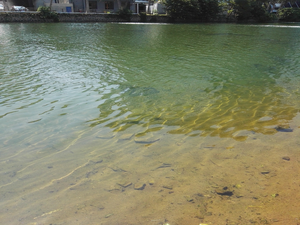 [视频]海口市鸭尾溪黑臭水体水环境综合整治工程