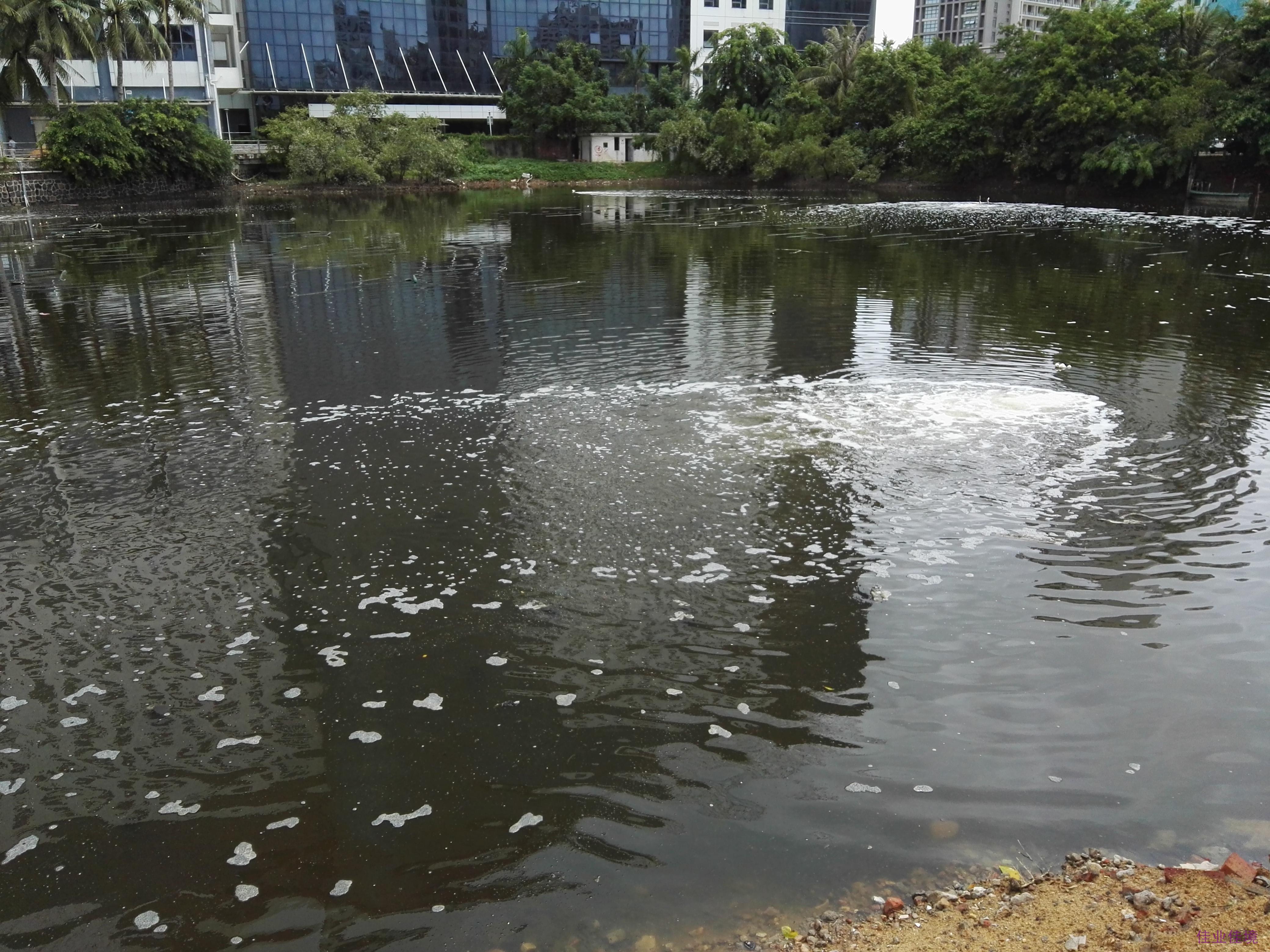 城市黑臭河道水体长效治理方案