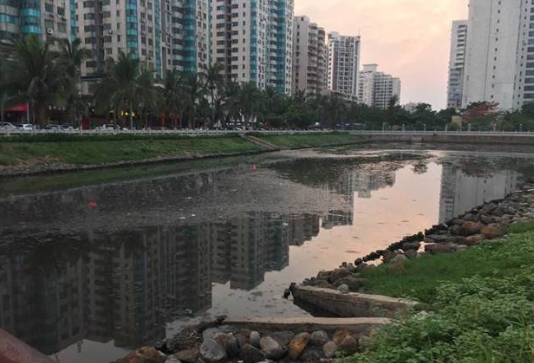 滞流河道、断头浜（盲肠河道）治理